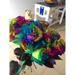 Image 2 of customer photos