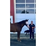 Image 2 of customer photos