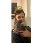 Image 6 of customer photos