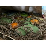 Image 3 of customer photos