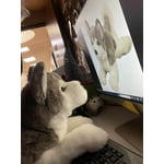 Image 4 of customer photos