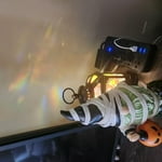 Image 1 of customer photos