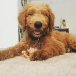 Image 3 of customer photos