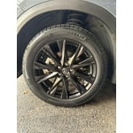 Image 5 of customer photos