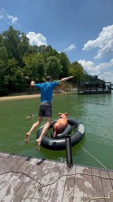 Bull Riding Pool Tfloat PVC Bull Riding Float Inflatable Bull Riding Pool Float - Giant Balance ...
