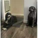 Image 1 of customer photos