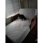 Image 7 of customer photos