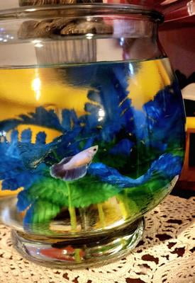Vibrant Life Footed Glass Fishbowl, 1 Gallon, Durable Base