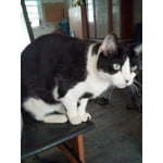 Image 1 of customer photos