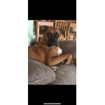 Image 6 of customer photos