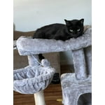 Image 2 of customer photos