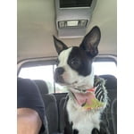 Image 4 of customer photos