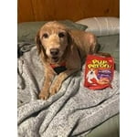 Image 7 of customer photos