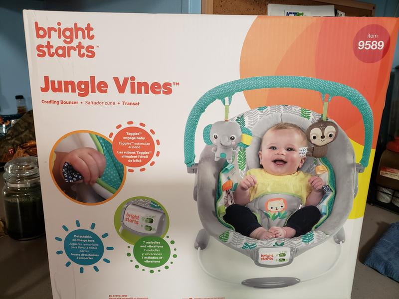 jungle vines cradling bouncer