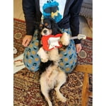 Image 4 of customer photos