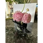 Image 9 of customer photos