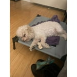 Image 6 of customer photos