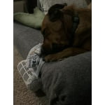 Image 5 of customer photos