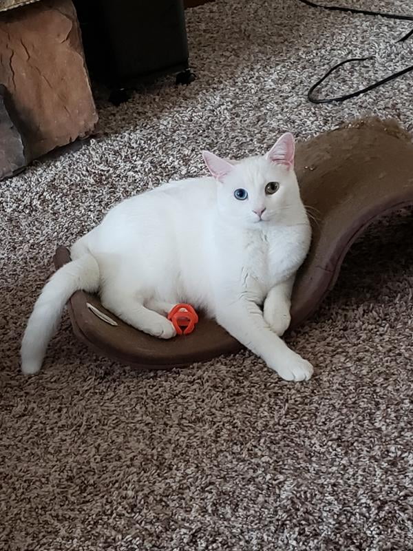 jackson galaxy satellites