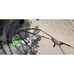 Image 3 of customer photos