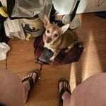 Image 5 of customer photos