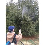 Image 4 of customer photos