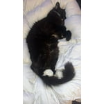 Image 5 of customer photos