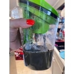 Image 4 of customer photos