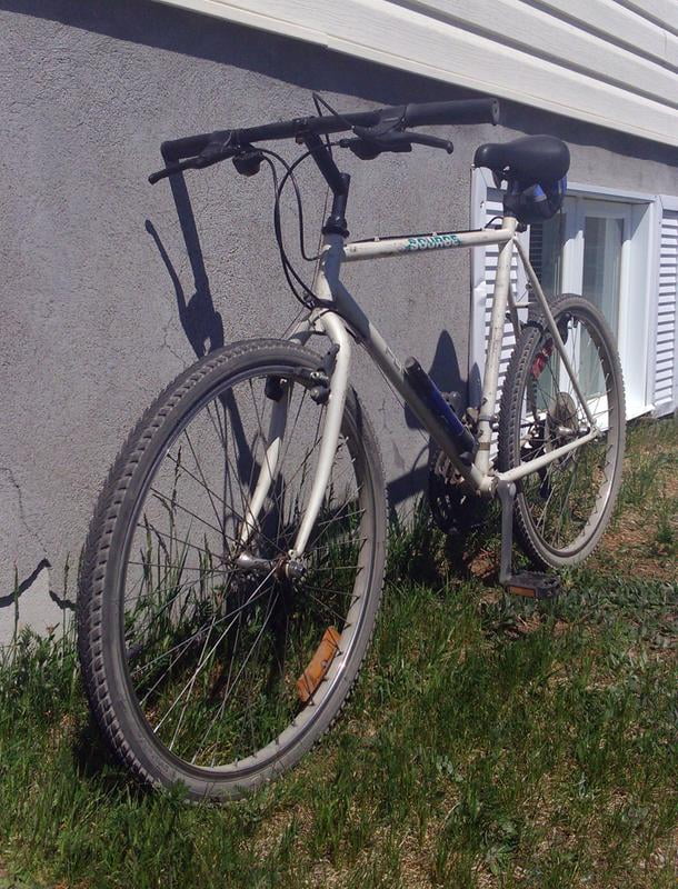 bell comfort bike tire 26