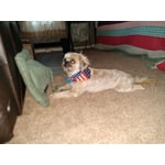 Image 4 of customer photos