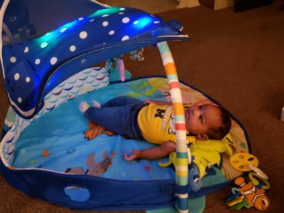 mr ray ocean lights activity gym walmart