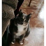 Image 3 of customer photos