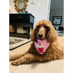 Image 3 of customer photos