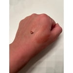 Image 7 of customer photos