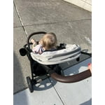 Image 7 of customer photos