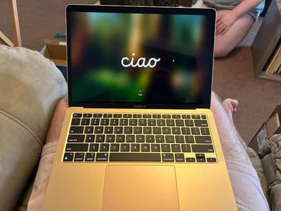 M1MacBook air ゴールド 256GB メモリ8GB Apple MacBook Air M1 256GB 8GB ゴールド Apple Macbook Air 13 M1