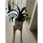 Image 4 of customer photos