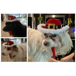 Image 5 of customer photos