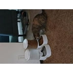 Image 2 of customer photos