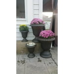 Image 3 of customer photos