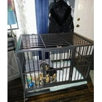 Image 7 of customer photos