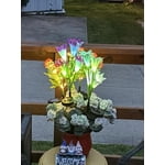 Image 2 of customer photos