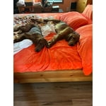 Image 1 of customer photos