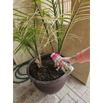 Image 5 of customer photos