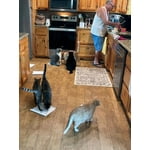 Image 4 of customer photos