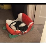 Image 2 of customer photos