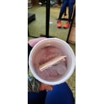 Image 6 of customer photos