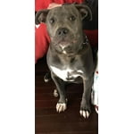 Image 6 of customer photos