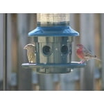 Image 5 of customer photos