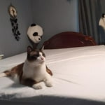 Image 5 of customer photos